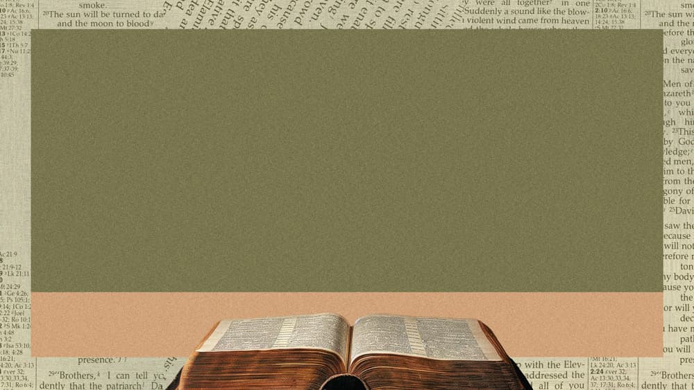 Main Graphics