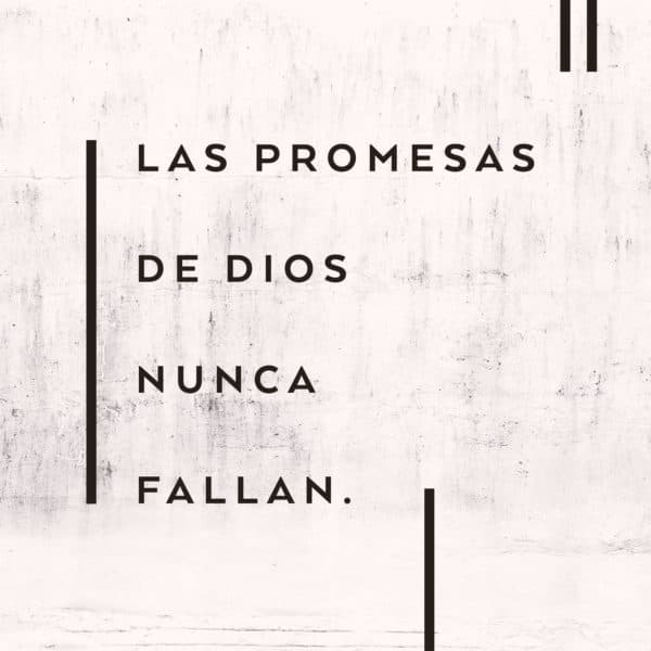 Las promesas de Dios nunca fallan.