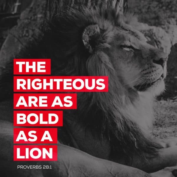The righteous are as bold as a lion. - Proverbs 28:1