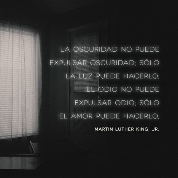 La oscuridad no puede expulsar oscuridad; sólo la luz puede hacerlo. El odio no puede expulsar odio; sólo el amor puede hacerlo. - Martin Luther King, Jr.