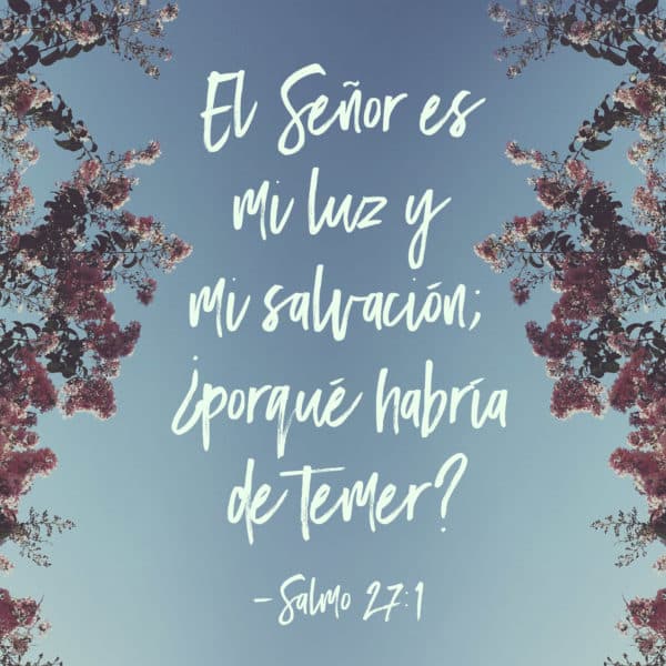 El Señor es mi luz y mi salvación; ¿porqué habría de temer? - Salmo 27:1