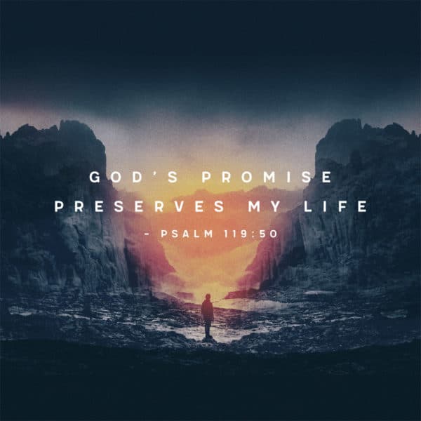 God's promise preserves my life. - Psalm 119:50
