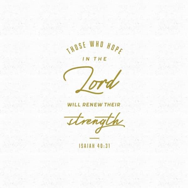 Those who hope in the Lord will renew their strength. - Isaiah 40:31