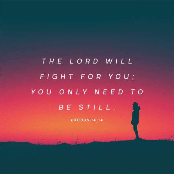 The Lord will fight for you; you only need to be still. - Exodus 14:14