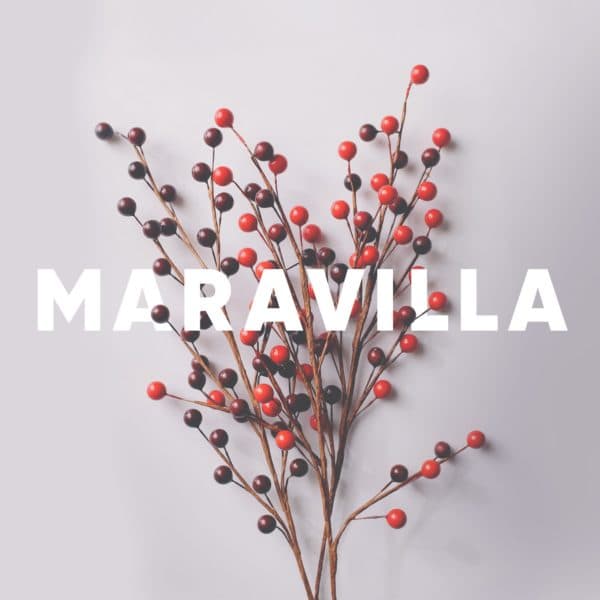 Maravilla