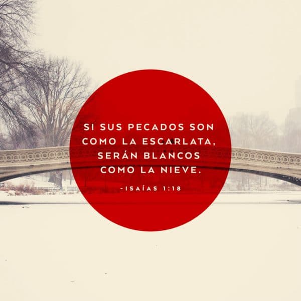 Si sus pecados son como la escarlata, serán blancos como la nieve. - Isaías 1:18