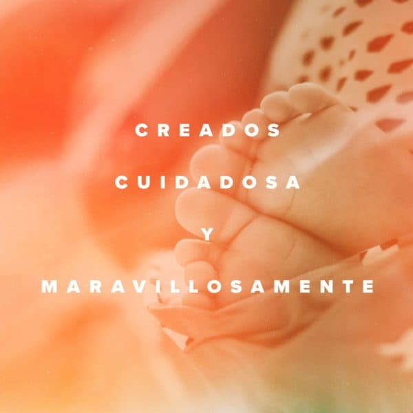 Creados cuidadosa y maravillosamente.