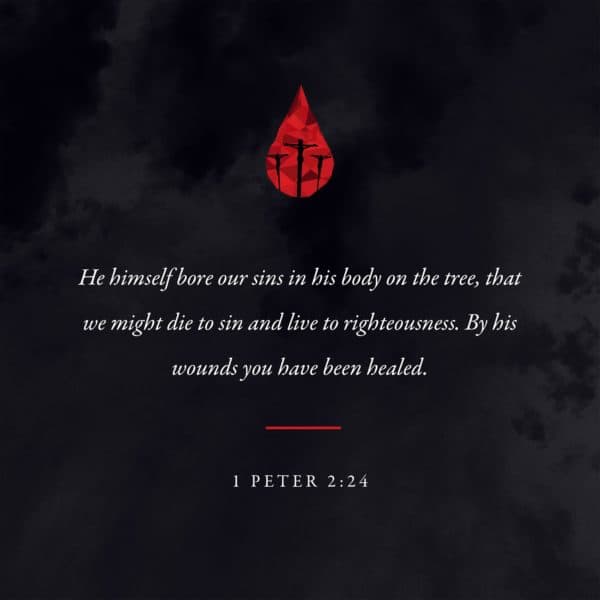 He himself bore our sins in his body on the tree, that we might die to sin and live to righteousness. By his wounds you have been healed. - 1 Peter 2:24