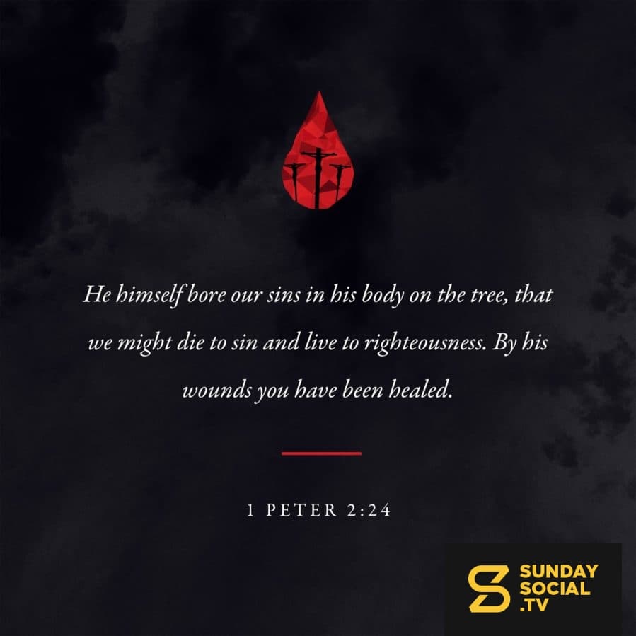 He himself bore our sins in his body on the tree, that we might die to sin and live to righteousness. By his wounds you have been healed. - 1 Peter 2:24
