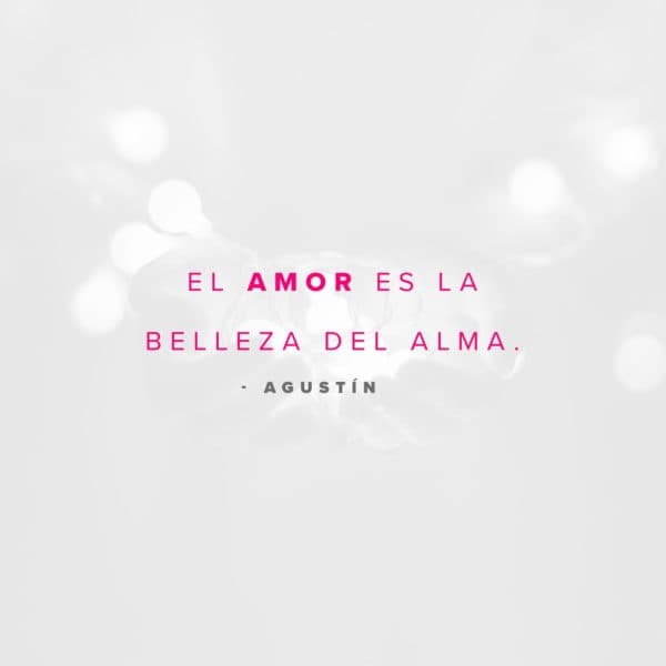 El amor es la belleza del alma. - Agustín