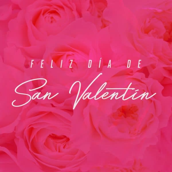 ¡Feliz día de San Valentín!