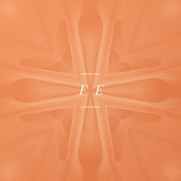 Fe