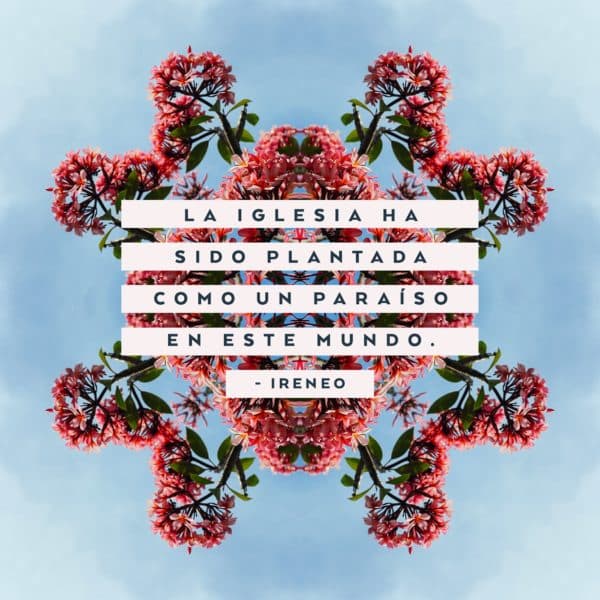 La iglesia ha sido plantada como un paraíso en este mundo. - Ireneo