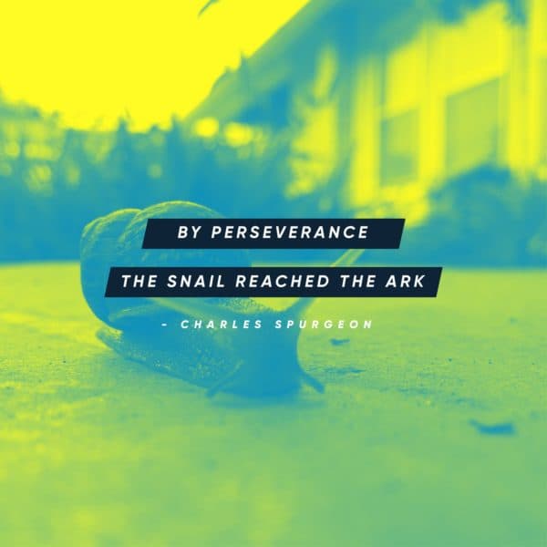By perseverance the snail reached the ark. - Charles Spurgeon