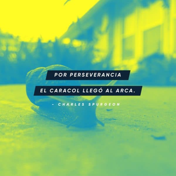 Por perseverancia el caracol llegó al arca. - Charles Spurgeon