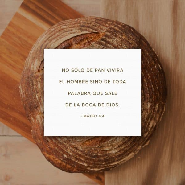No sólo de pan vivirá el hombre sino de toda palabra que sale de la boca de Dios. - Mateo 4:4