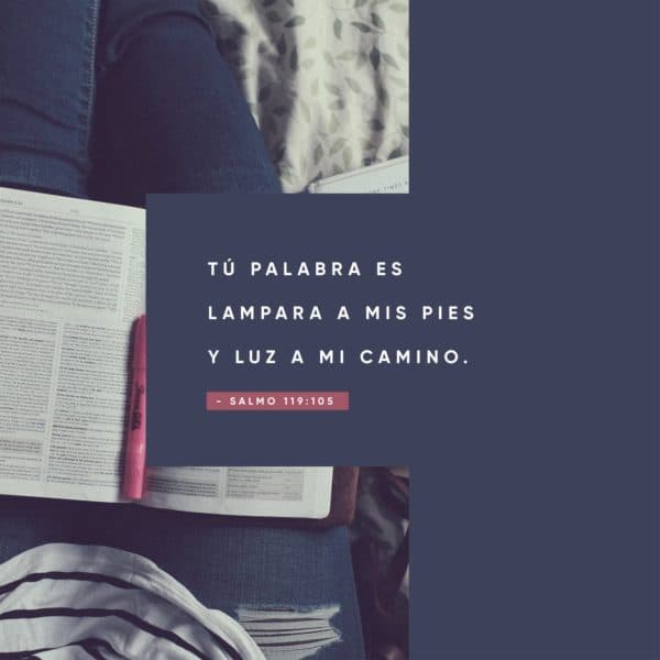 Tú palabra es lampara a mis pies y luz a mi camino. - Salmo 119:105