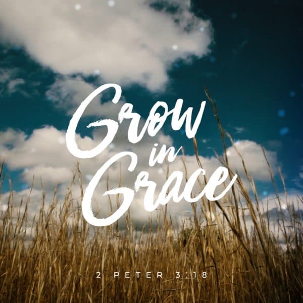 Grow in grace. - 2 Peter 3:18