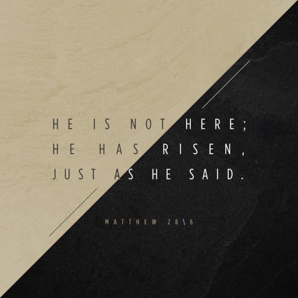He is not here; he has risen, just as he said. - Matthew 28:6