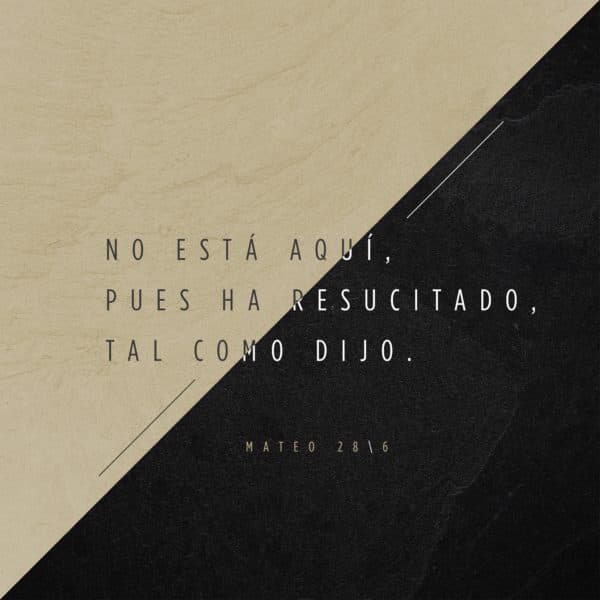 No está aquí, pues ha resucitado, tal como dijo. - Mateo 28:6