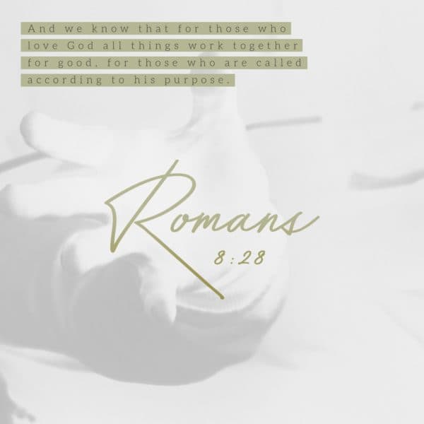 And we know that for those who love God all things work together for good, for those who are called according to his purpose. - Romans 8:28