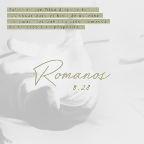 Sabemos que Dios dispone todas las cosas para el bien de quienes lo aman, los que han sido llamados de acuerdo a su propósito. - Romanos 8:28