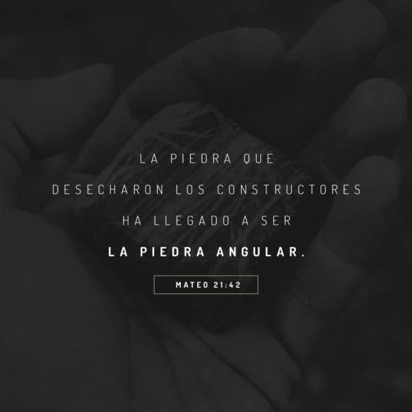 La piedra que desecharon los constructores ha llegado a ser la piedra angular. - Mateo 21:42