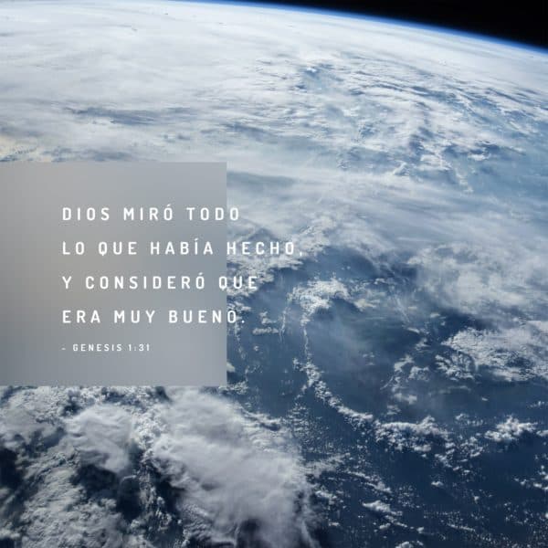 Dios miró todo lo que había hecho, y consideró que era muy bueno. - Genesis 1:31