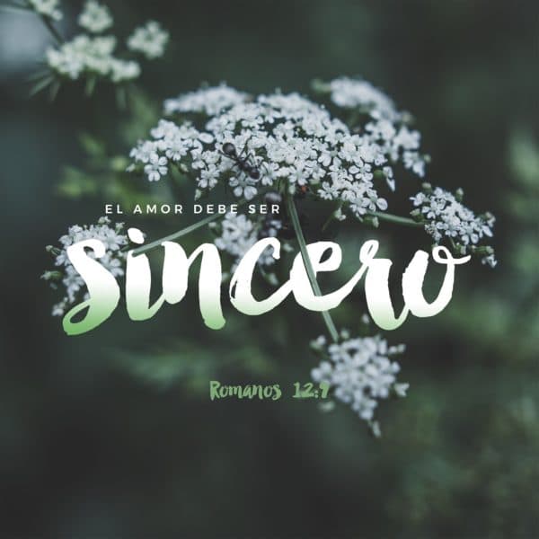 El amor debe ser sincero. - Romanos 12:9
