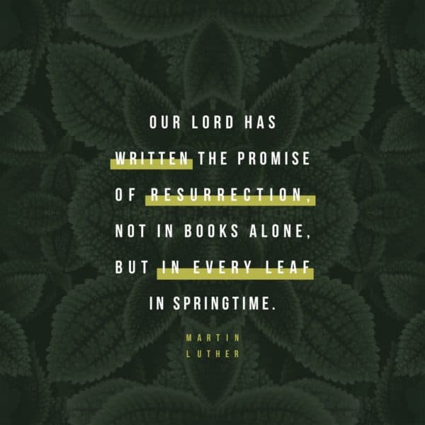 Our Lord has written the promise of resurrection, not in books alone, but in every leaf in springtime. - Martin Luther