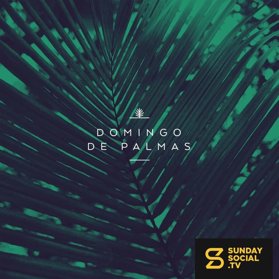 Domingo de palmas