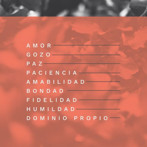 Amor, gozo, paz, paciencia, amabilidad, bondad, fidelidad, humildad, dominio propio.