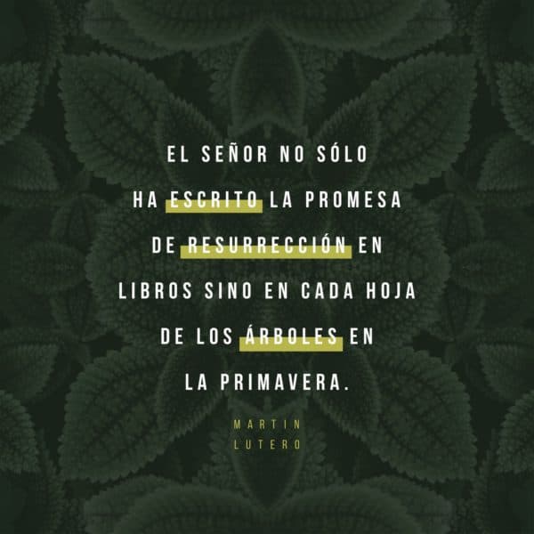 El Señor no sólo ha escrito la promesa de resurrección en libros sino en cada hoja de los árboles en la primavera. - Martin Lutero