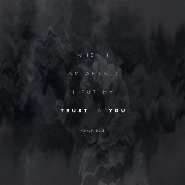 When I am afraid I put my trust in you. - Psalm 56:3