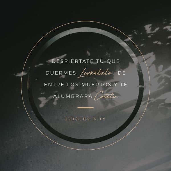 Despiértate tú que duermes, levántate de entre los muertos y te alumbrará Cristo. - Efesios 5:14