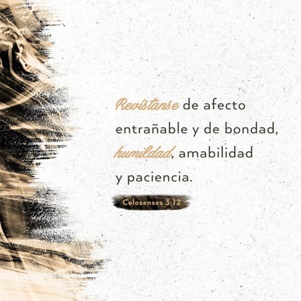 Revístanse de afecto entrañable y de bondad, humildad, amabilidad y paciencia. - Colosenses 3:12