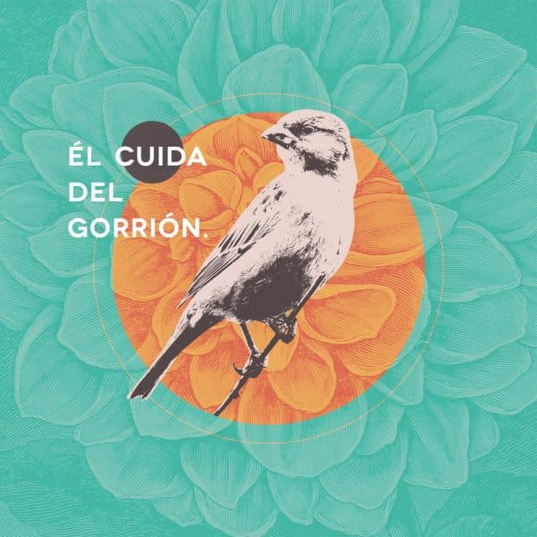 Él cuida del gorrión.
