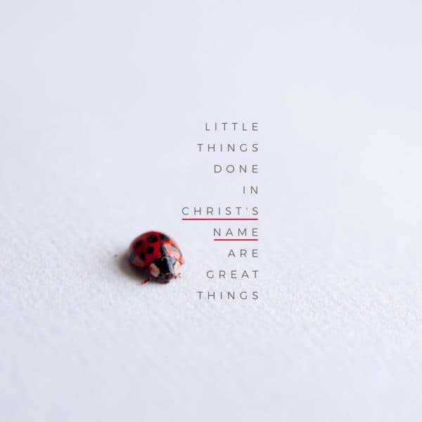 Little things done in Christ's name are great things.