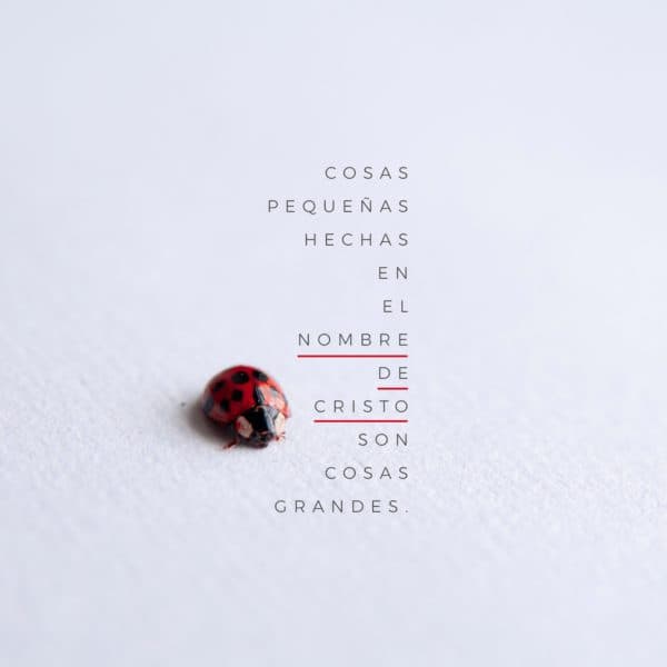Cosas pequeñas hechas en el nombre de Cristo son cosas grandes.