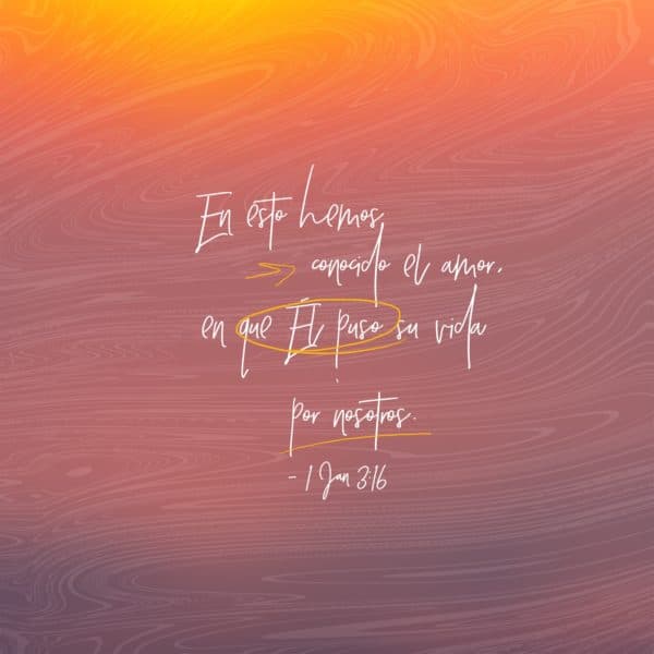 En esto hemos conocido el amor, en que Él puso su vida por nosotros. - 1 Juan 3:16