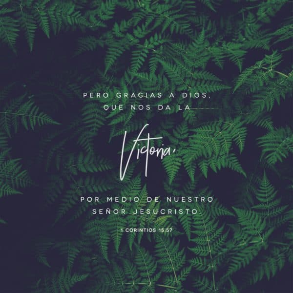 Pero gracias a Dios, que nos da la victoria por medio de nuestro Señor Jesucristo. - 1 Corintios 15:57
