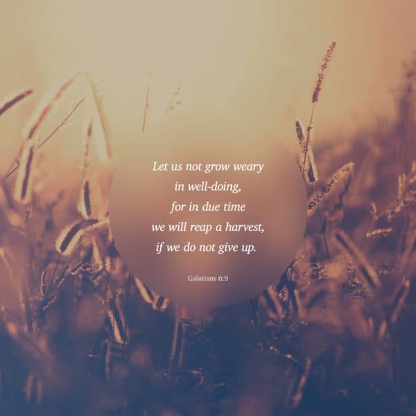 Let us not grow weary in well-doing, for in due time we will reap a harvest, if we do not give up. - Galatians 6:9