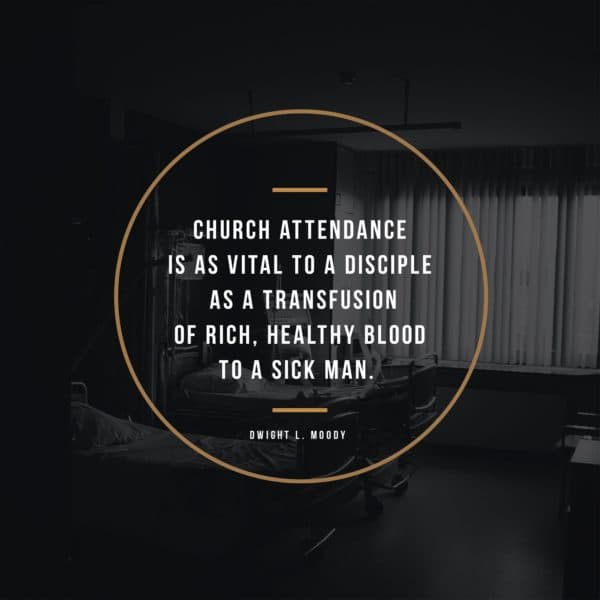 Church attendance is as vital to a disciple as a transfusion of rich, healthy blood to a sick man. - Dwight L. Moody