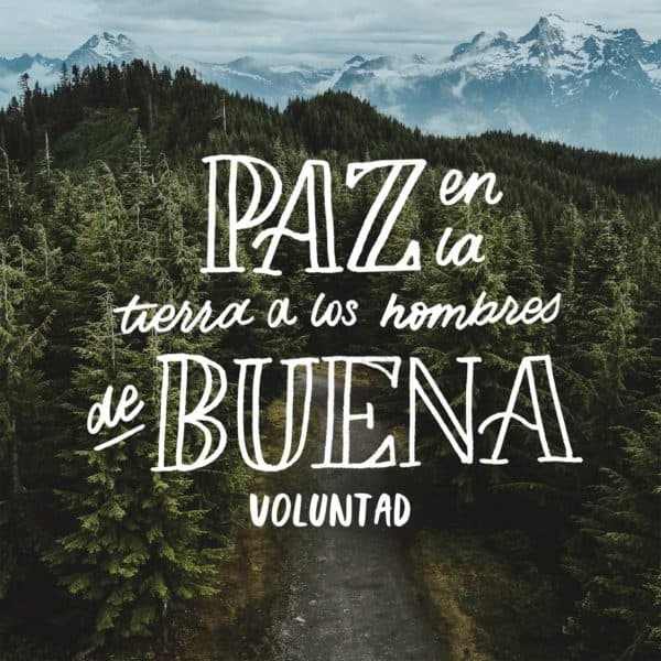 Paz en la tierra a los hombres de buena voluntad