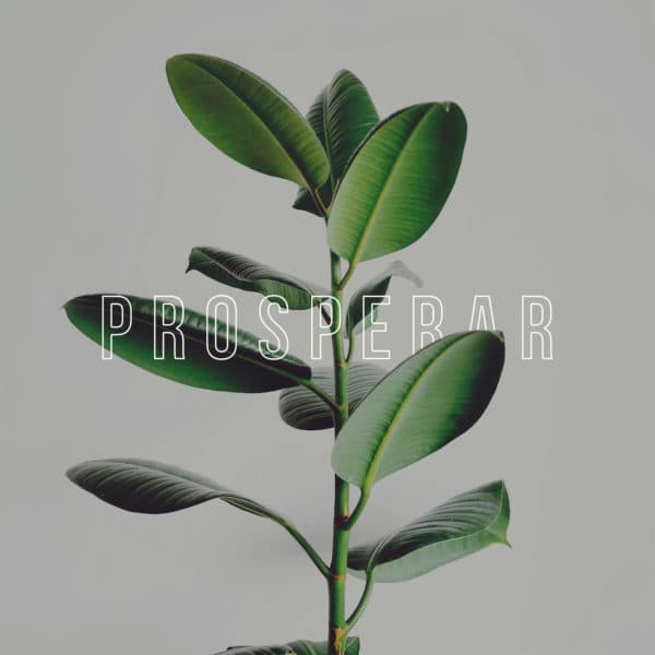 Prosperar