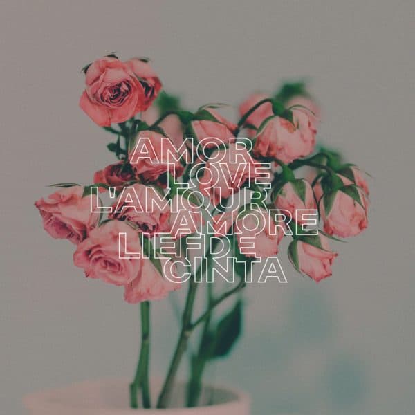 Amor. Love. L'amour. Liebe. Amore. Liefde. Cinta.