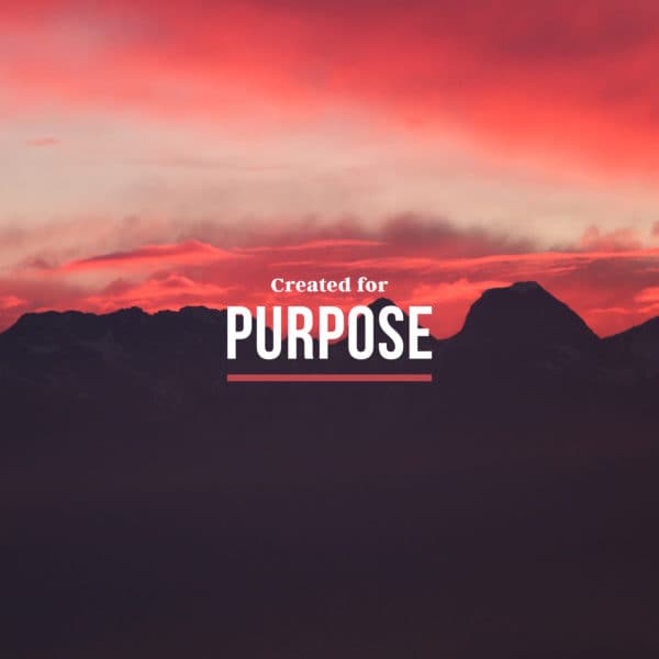 Created for Purpose