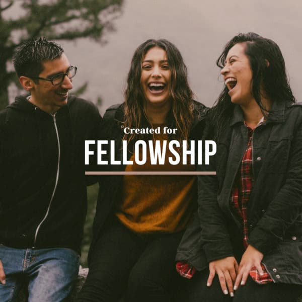 Created for Fellowship