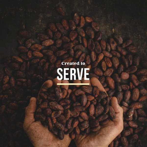 Created to Serve