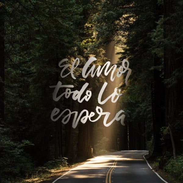 El amor todo lo espera